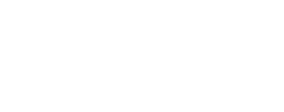 Vorzi — logo